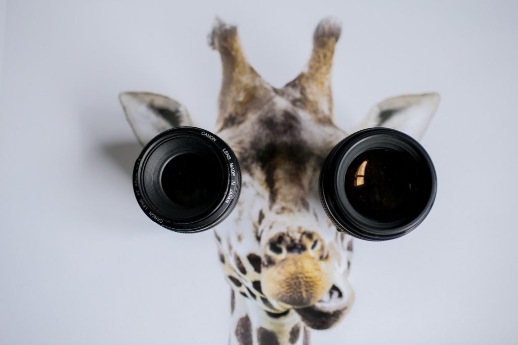 Eine Giraffe mit 2 Fotolinsen als Augen, als Symbol für eine Detaillierte Immobiliensuche.